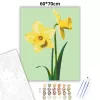 Tavaszi nárciszok - számfestő készlet - Számfestő.hu - 60×70cm - Keretre feszítve