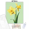 Tavaszi nárciszok - számfestő készlet - Számfestő.hu - 40×50cm - Keretre feszítve