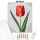 Letisztult tulipán - számfestő készlet - Számfestő.hu - 50×60cm - Keret nélkül