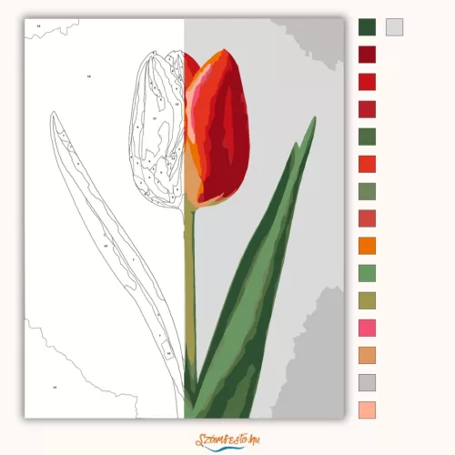 Letisztult tulipán - számfestő készlet - Számfestő.hu - 80×100cm - Keret nélkül