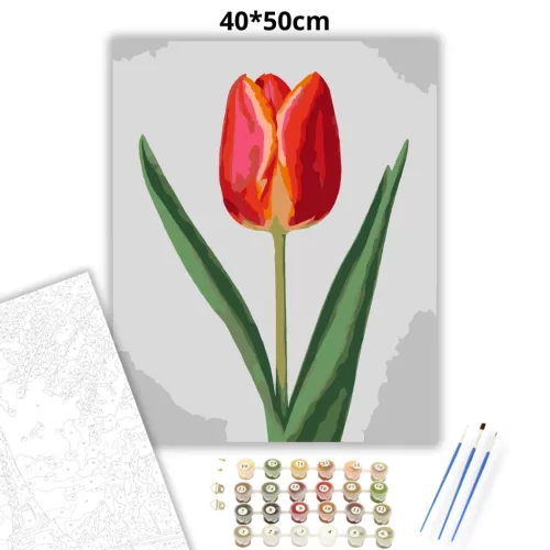 Letisztult tulipán - számfestő készlet - Számfestő.hu - 40×50cm - Keretre feszítve