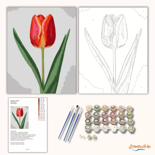 Letisztult tulipán - számfestő készlet - Számfestő.hu - 40×50cm - Keret nélkül