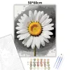Friss margaréta - számfestő készlet - Számfestő.hu - 50×60cm - Keret nélkül