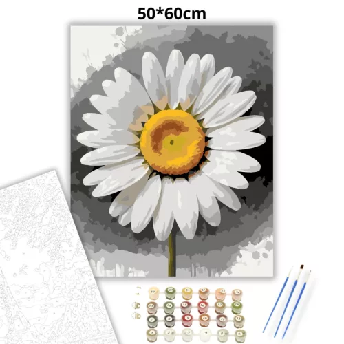 Friss margaréta - számfestő készlet - Számfestő.hu - 50×60cm - Keret nélkül