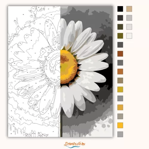 Friss margaréta - számfestő készlet - Számfestő.hu - 50×60cm - Keret nélkül