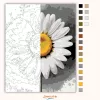 Friss margaréta - számfestő készlet - Számfestő.hu - 60×70cm - Keret nélkül
