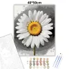 Friss margaréta - számfestő készlet - Számfestő.hu - 40×50cm - Keret nélkül