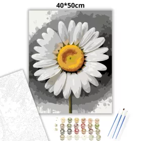 Friss margaréta - számfestő készlet - Számfestő.hu - 40×50cm - Keret nélkül