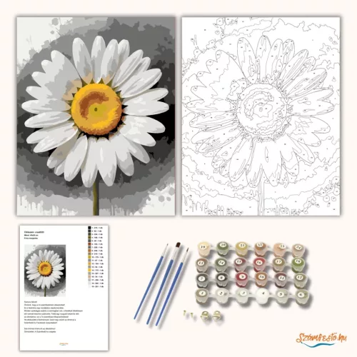 Friss margaréta - számfestő készlet - Számfestő.hu - 40×50cm - Keretre feszítve