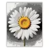 Friss margaréta - számfestő készlet - Számfestő.hu - 40×50cm - Keret nélkül