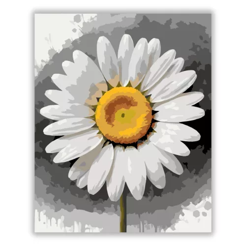 Friss margaréta - számfestő készlet - Számfestő.hu - 40×50cm - Keret nélkül