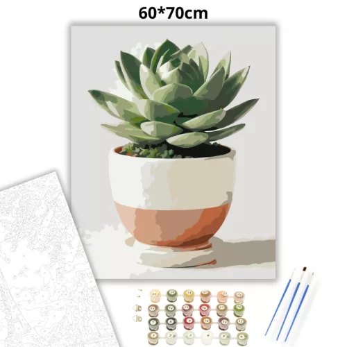 Pozsgás szobanövény - számfestő készlet - Számfestő.hu - 60×70cm - Keretre feszítve