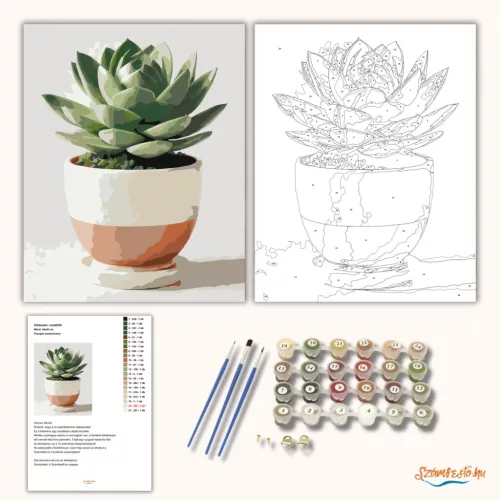 Pozsgás szobanövény - számfestő készlet - Számfestő.hu - 80×100cm - Keret nélkül