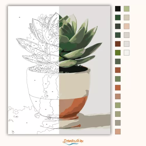 Pozsgás szobanövény - számfestő készlet - Számfestő.hu - 80×100cm - Keretre feszítve