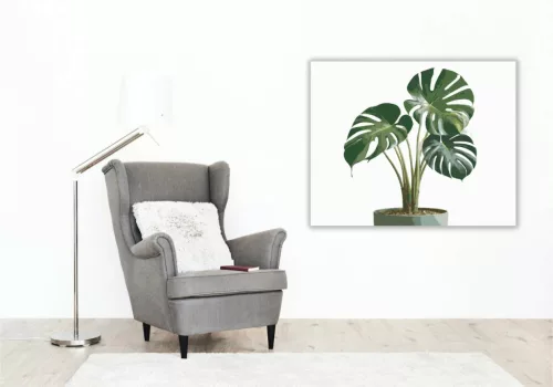 Könnyező pálma cserépben - számfestő készlet - Számfestő.hu - 50×60cm - Keretre feszítve