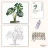 Könnyező pálma cserépben - számfestő készlet - Számfestő.hu - 80×100cm - Keret nélkül
