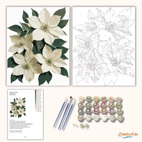 Klemátisz virágok - számfestő készlet - Számfestő.hu - 50×60cm - Keret nélkül