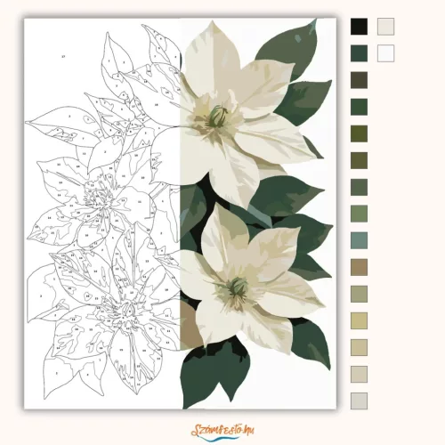 Klemátisz virágok - számfestő készlet - Számfestő.hu - 50×60cm - Keret nélkül