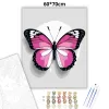 Rózsaszín pillangó - számfestő készlet - Számfestő.hu - 60×70cm - Keret nélkül
