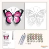 Rózsaszín pillangó - számfestő készlet - Számfestő.hu - 60×70cm - Keretre feszítve