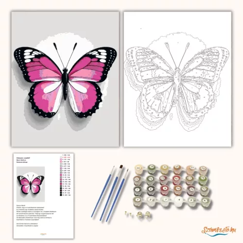 Rózsaszín pillangó - számfestő készlet - Számfestő.hu - 60×70cm - Keretre feszítve