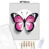 Rózsaszín pillangó - számfestő készlet - Számfestő.hu - 40×50cm - Keretre feszítve
