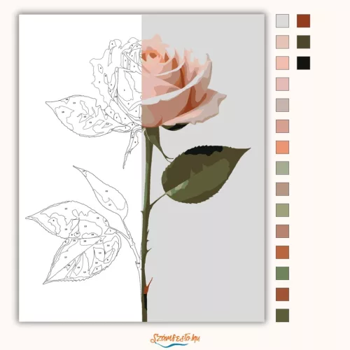 Bársonyos rózsaszál - számfestő készlet - Számfestő.hu - 50×60cm - Keretre feszítve