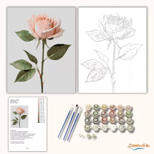 Bársonyos rózsaszál - számfestő készlet - Számfestő.hu - 60×70cm - Keretre feszítve