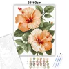 Barackos hibiszkuszok - számfestő készlet - Számfestő.hu - 50×60cm - Keretre feszítve