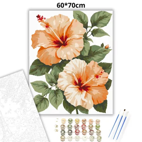 Barackos hibiszkuszok - számfestő készlet - Számfestő.hu - 60×70cm - Keretre feszítve