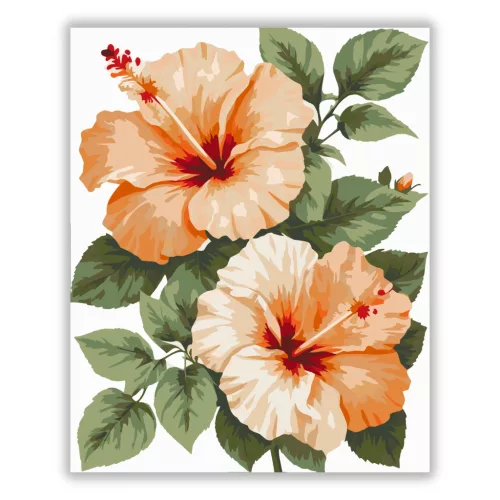 Barackos hibiszkuszok - számfestő készlet - Számfestő.hu - 60×70cm - Keretre feszítve