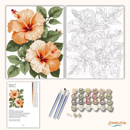 Barackos hibiszkuszok - számfestő készlet - Számfestő.hu - 40×50cm - Keret nélkül