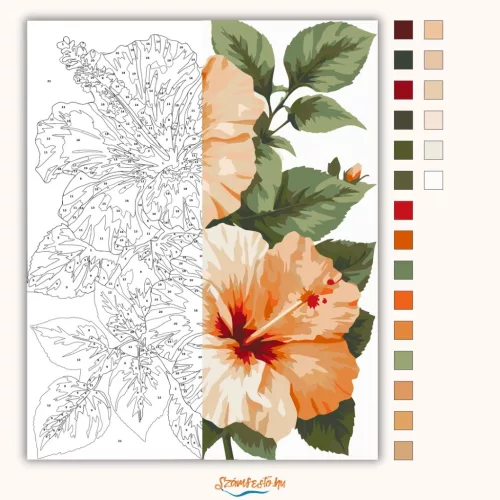 Barackos hibiszkuszok - számfestő készlet - Számfestő.hu - 40×50cm - Keretre feszítve