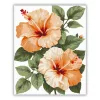 Barackos hibiszkuszok - számfestő készlet - Számfestő.hu - 40×50cm - Keret nélkül