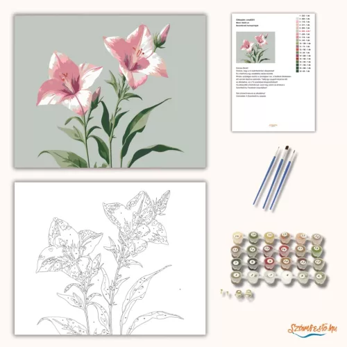 Baracklevelű harangvirágok - számfestő készlet - Számfestő.hu - 40×50cm - Keretre feszítve