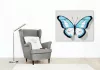 Kékes pillangó - számfestő készlet - Számfestő.hu - 50×60cm - Keretre feszítve