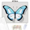 Kékes pillangó - számfestő készlet - Számfestő.hu - 40×50cm - Keretre feszítve