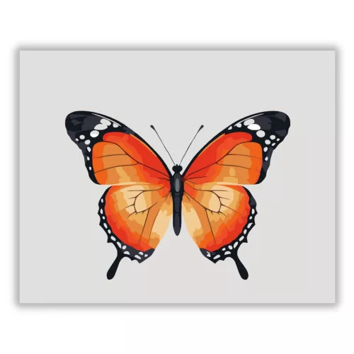 Letisztult pillangó - számfestő készlet - Számfestő.hu - 50×60cm - Keret nélkül
