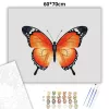 Letisztult pillangó - számfestő készlet - Számfestő.hu - 60×70cm - Keretre feszítve