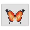 Letisztult pillangó - számfestő készlet - Számfestő.hu - 60×70cm - Keretre feszítve