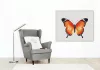 Letisztult pillangó - számfestő készlet - Számfestő.hu - 80×100cm - Keretre feszítve
