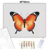 Letisztult pillangó - számfestő készlet - Számfestő.hu - 40×50cm - Keret nélkül