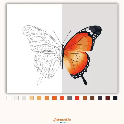 Letisztult pillangó - számfestő készlet - Számfestő.hu - 40×50cm - Keretre feszítve