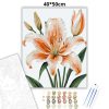 Elegáns barack liliom - számfestő készlet - Számfestő.hu - 40×50cm - Keret nélkül