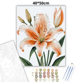 Elegáns barack liliom - számfestő készlet - Számfestő.hu - 40×50cm - Keret nélkül