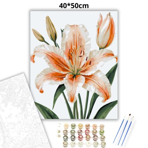 Elegáns barack liliom - számfestő készlet - Számfestő.hu - 40×50cm - Keret nélkül