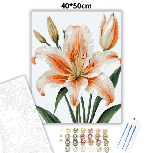 Elegáns barack liliom - számfestő készlet - Számfestő.hu - 40×50cm - Keretre feszítve