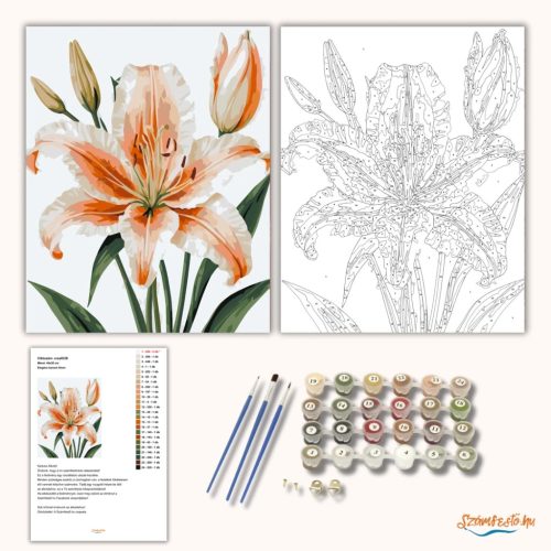 Elegáns barack liliom - számfestő készlet - Számfestő.hu - 40×50cm - Keret nélkül
