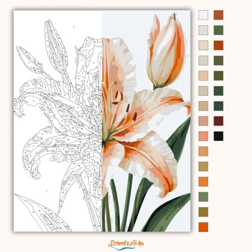 Elegáns barack liliom - számfestő készlet - Számfestő.hu - 40×50cm - Keret nélkül