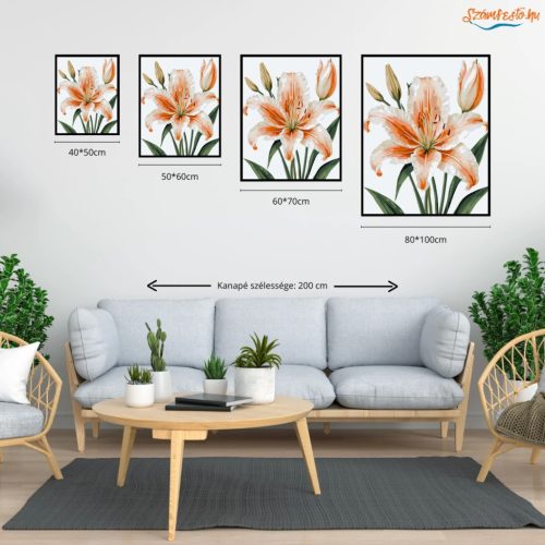Elegáns barack liliom - számfestő készlet - Számfestő.hu - 40×50cm - Keret nélkül